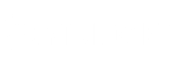 VertoEdge