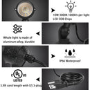 Corded Electric Warm White 120V LED Landscape and Walkway Light